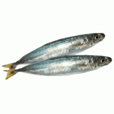 Frozen Layang Scad Whole Round